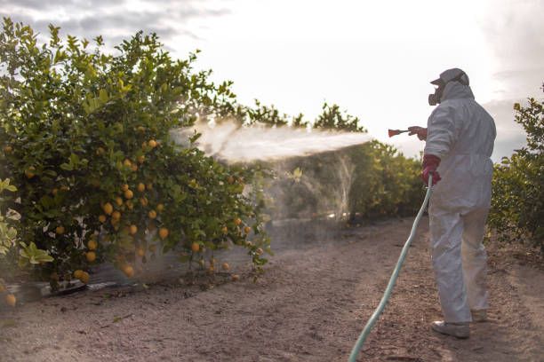 Best Emergency Pest Control  in North Manchester, IN